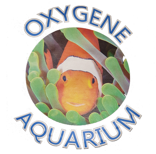 OXYGENE AQUARIUM