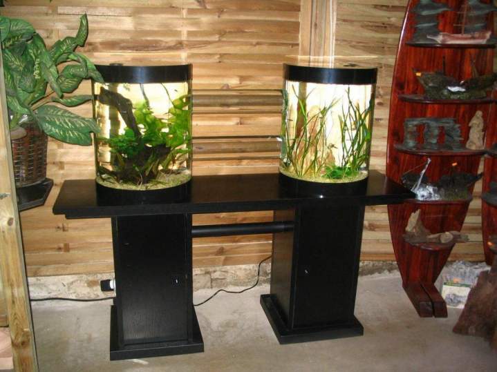  Fabrication et entretien d'aquarium Beaufort-Orbagna