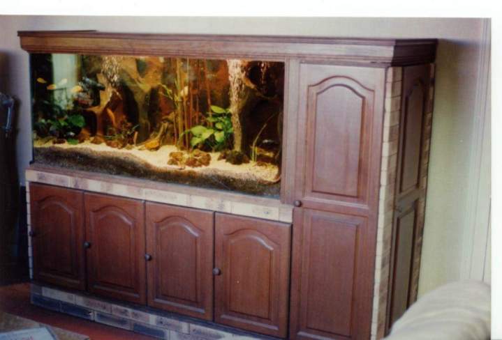  Fabrication et entretien d'aquarium Beaufort-Orbagna