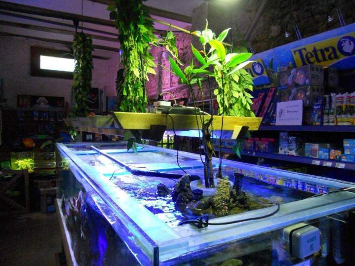 Fabrication aquariums Beaufort-Orbagna