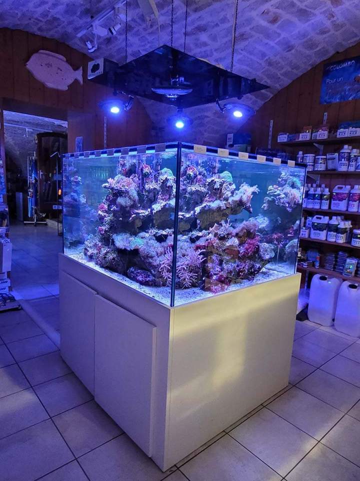 Magasin de poissons d'eau de mer Beaufort-Orbagna