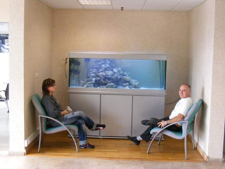 Vente de poissons d'eau de mer Beaufort-Orbagna