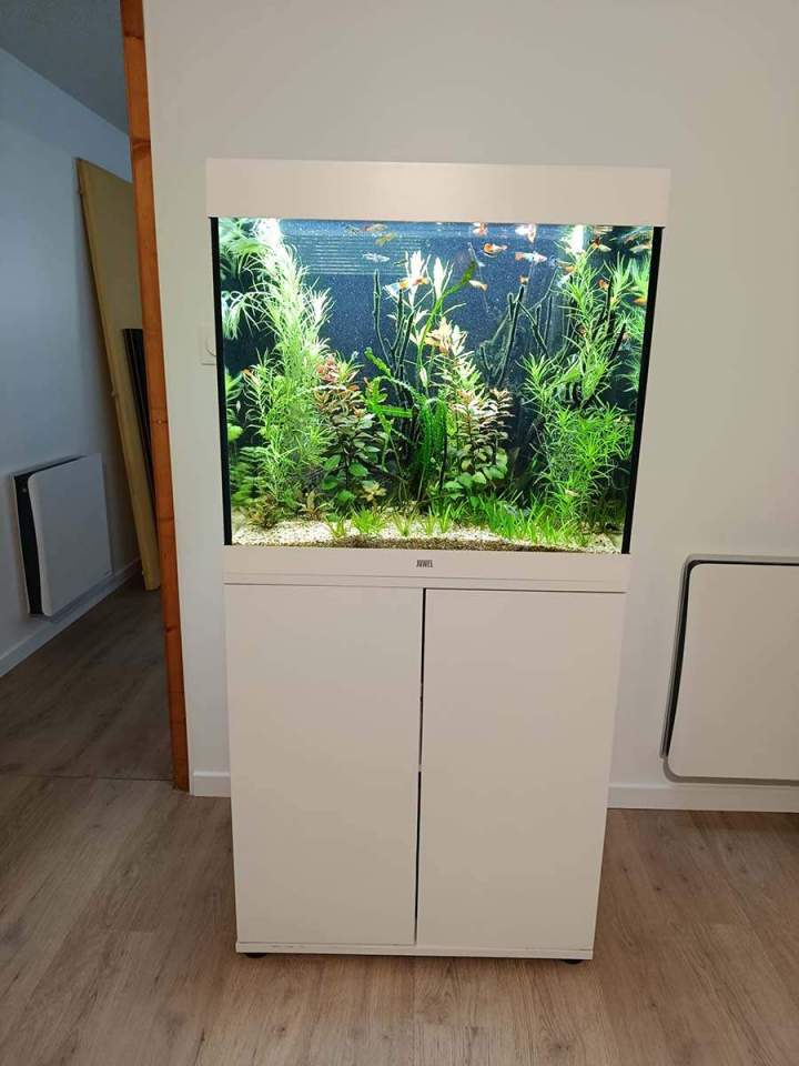 Vente de poissons d'eau de mer Beaufort-Orbagna