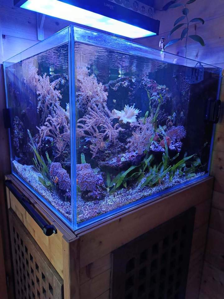 Vente de poissons d'eau de mer Beaufort-Orbagna