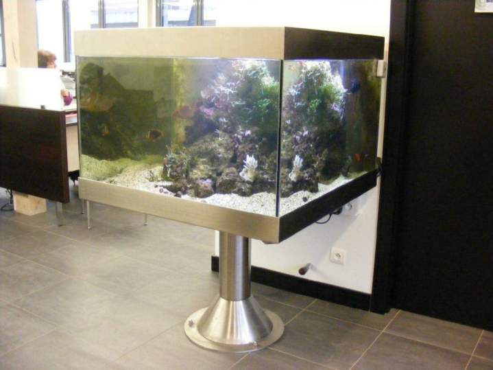  Fabrication et entretien d'aquarium Beaufort-Orbagna