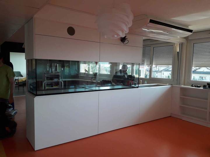 Vente de poissons d'eau de mer Beaufort-Orbagna