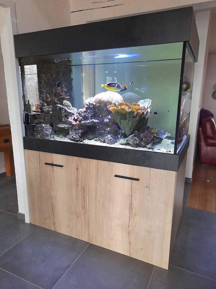 Fabrication aquariums Beaufort-Orbagna