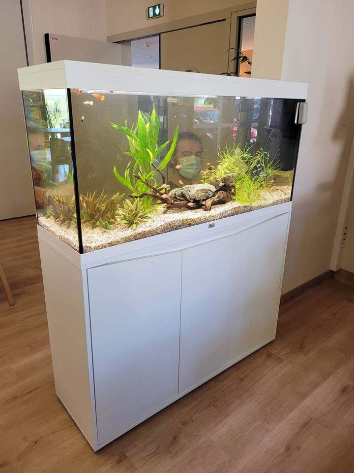 Fabrication aquariums Beaufort-Orbagna