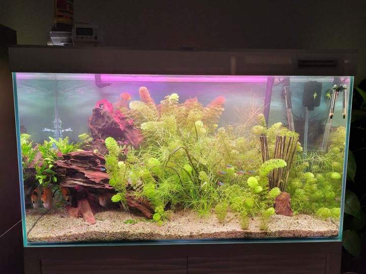 Magasin de poissons d'eau douce Beaufort-Orbagna