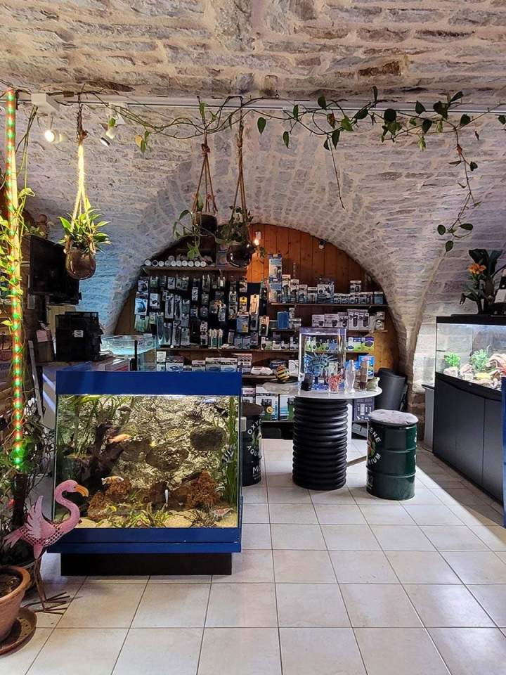 Fabrication aquariums Beaufort-Orbagna