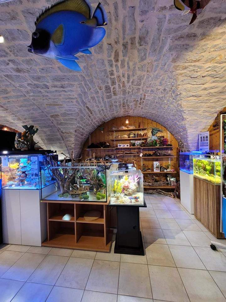 Fabrication aquariums Beaufort-Orbagna