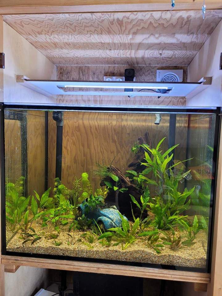 Vente de poissons d'eau de mer Beaufort-Orbagna