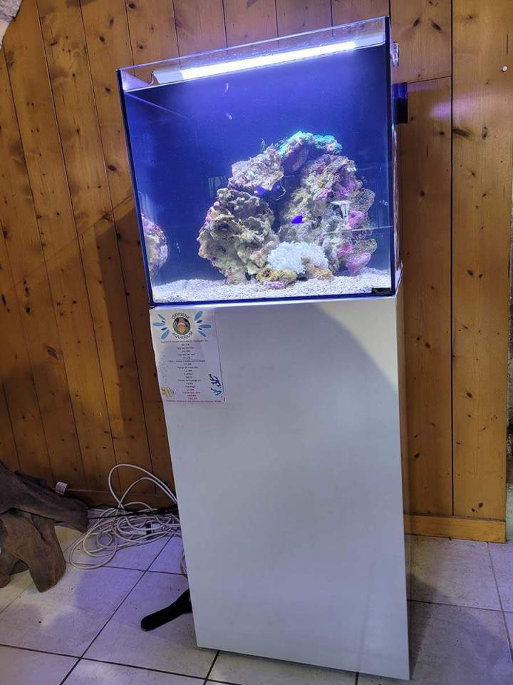 Fabrication aquariums Beaufort-Orbagna