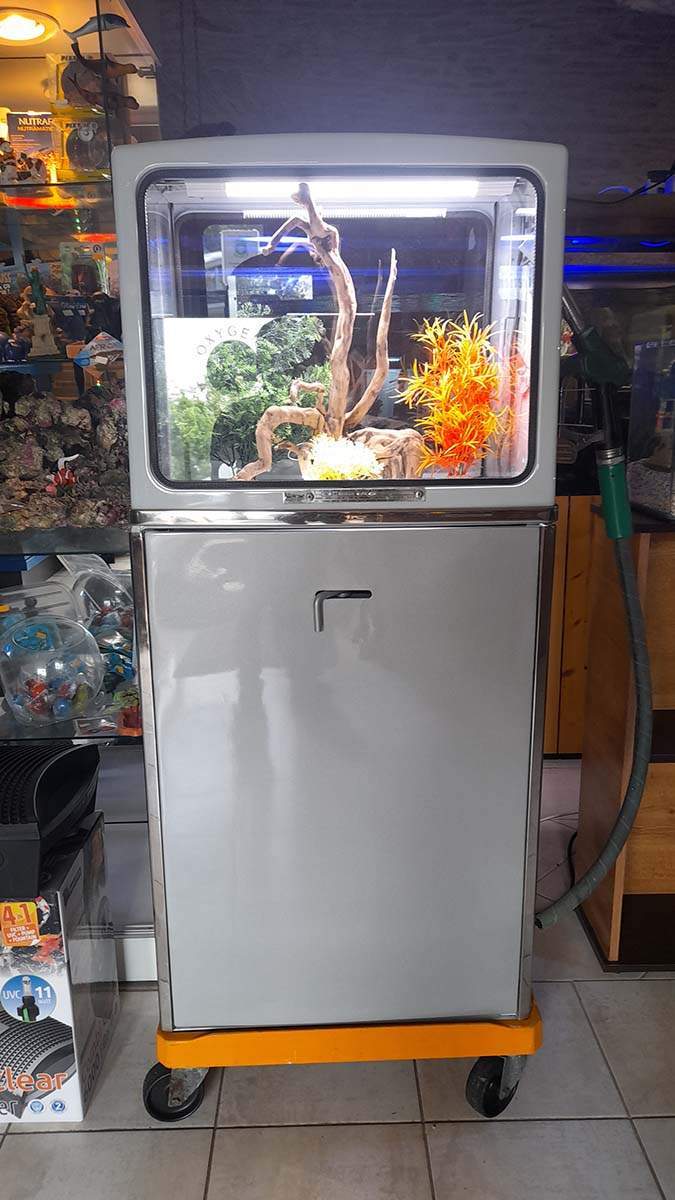 Vente de poissons d'eau de mer Beaufort-Orbagna