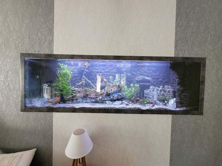 Fabrication aquariums Beaufort-Orbagna