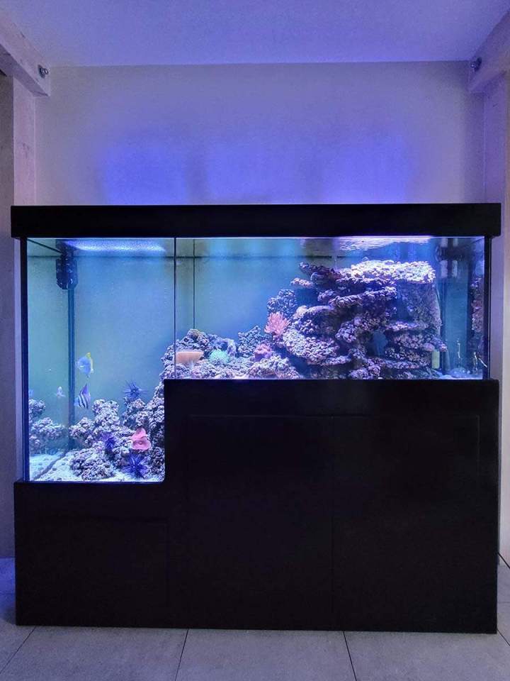 Vente de poissons d'eau de mer Beaufort-Orbagna