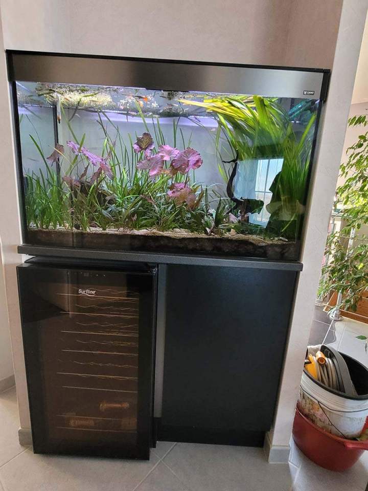 Fabrication aquariums Beaufort-Orbagna