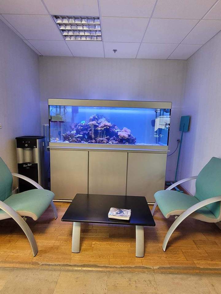 Fabrication aquariums Beaufort-Orbagna