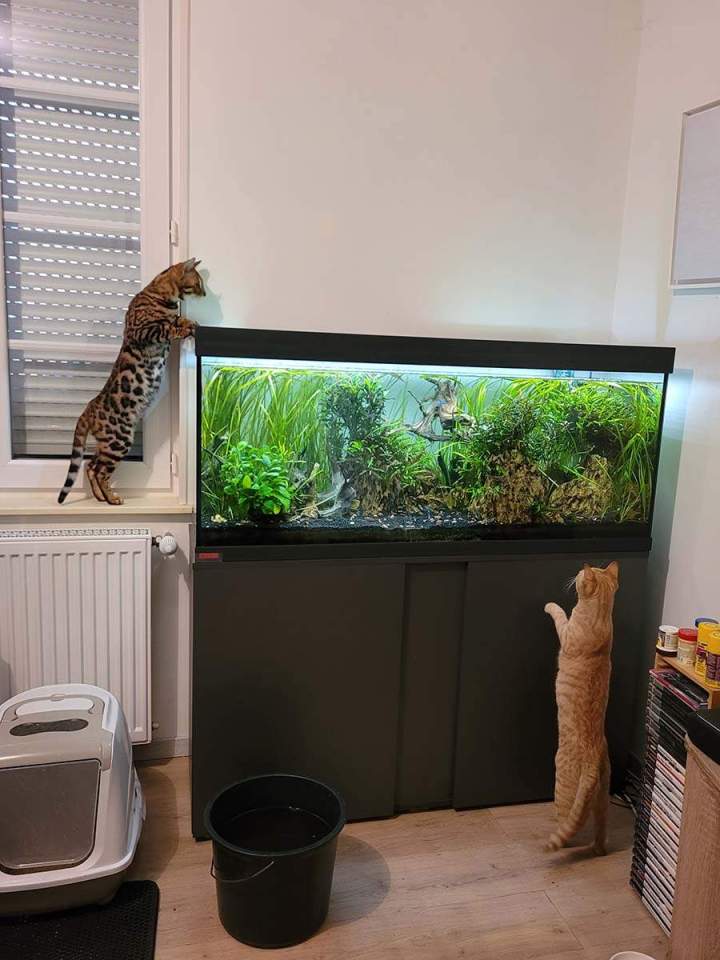 Vente de poissons d'eau de mer Beaufort-Orbagna