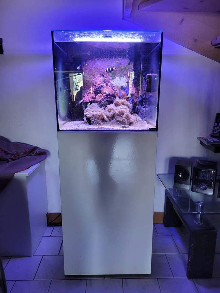 Fabrication aquariums Beaufort-Orbagna