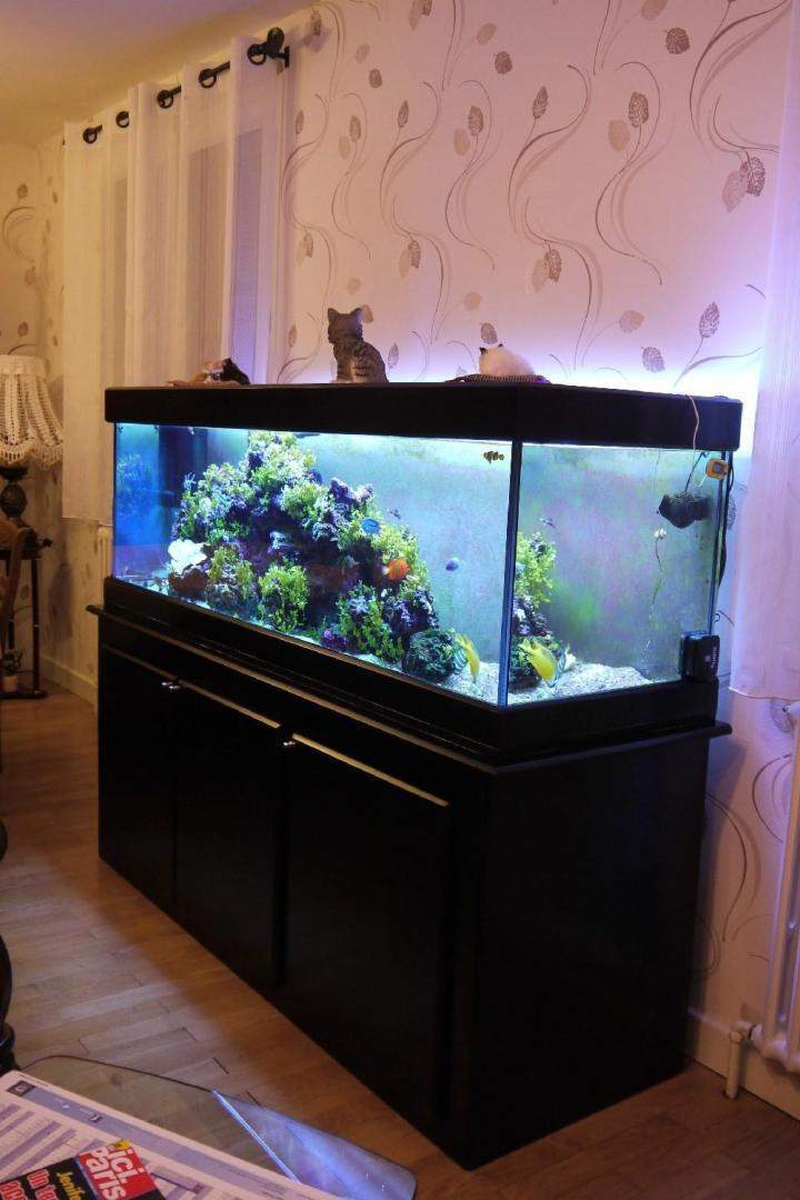 Vente de poissons d'eau douce Beaufort-Orbagna