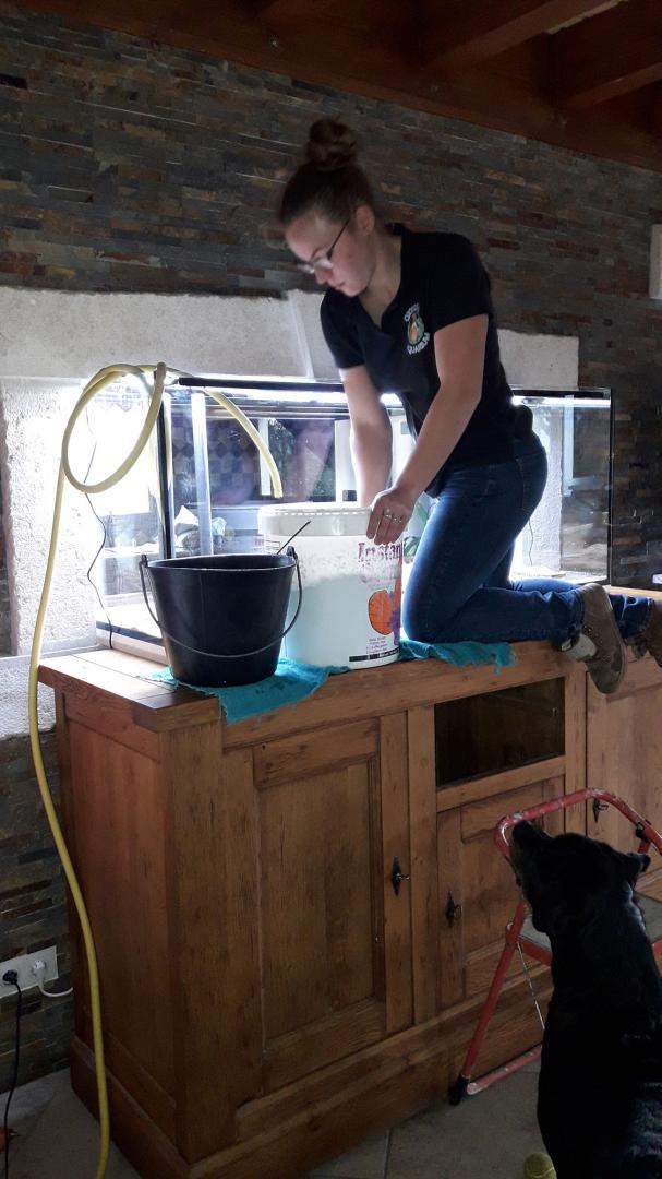  Fabrication et entretien d'aquarium Beaufort-Orbagna