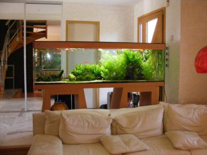  Fabrication et entretien d'aquarium Beaufort-Orbagna