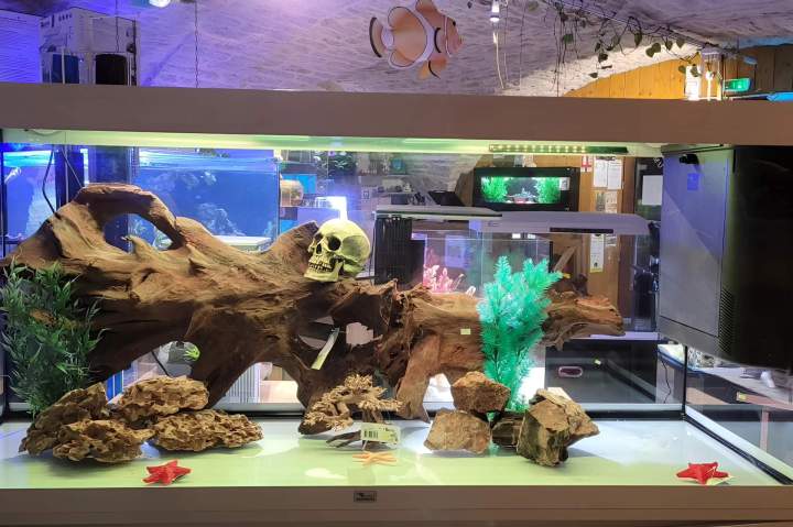 Vente d'aquariums Beaufort-Orbagna