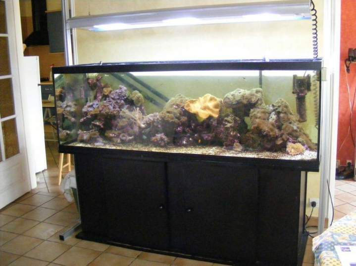  Fabrication et entretien d'aquarium Beaufort-Orbagna