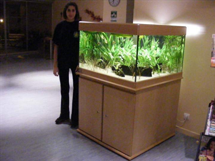 Vente de poissons d'eau de mer Beaufort-Orbagna