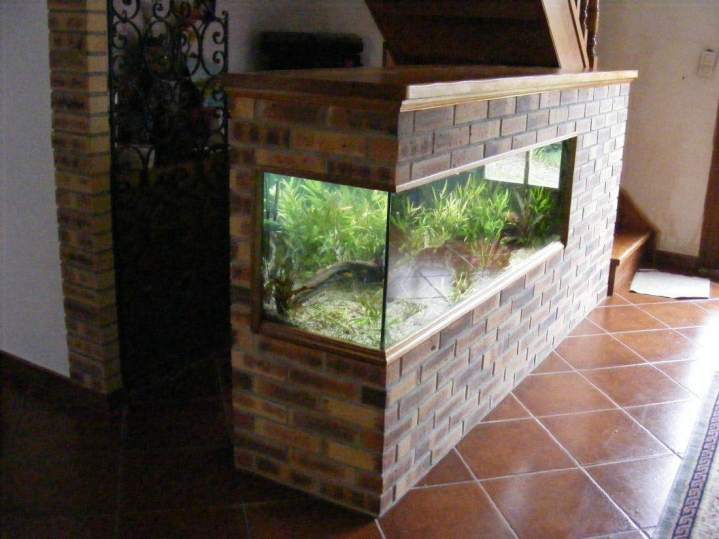  Fabrication et entretien d'aquarium Beaufort-Orbagna