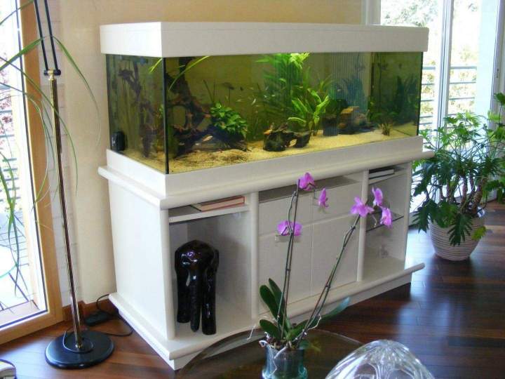 Fabrication aquariums Beaufort-Orbagna