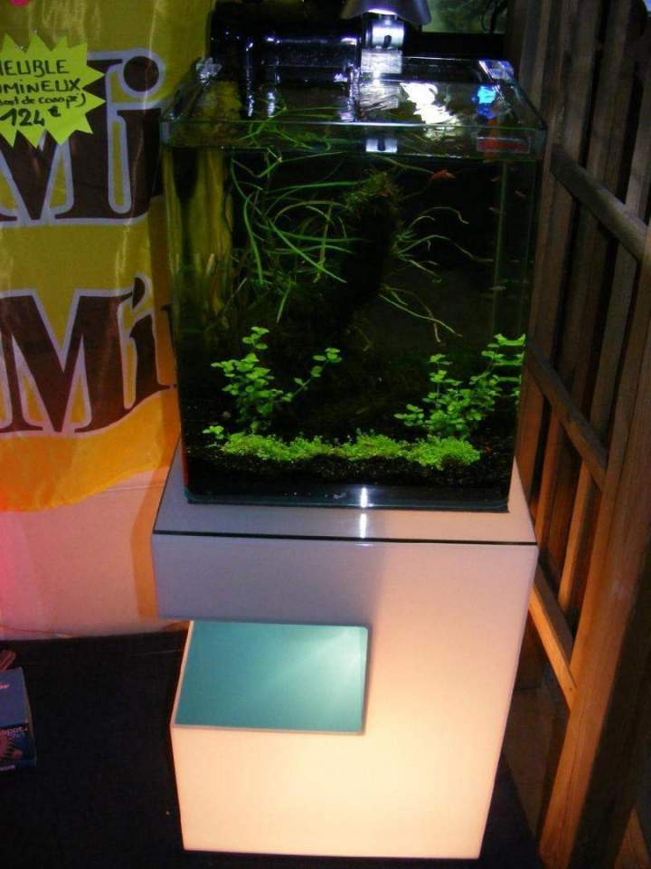  Fabrication et entretien d'aquarium Beaufort-Orbagna