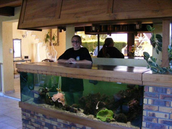 Fabrication aquariums Beaufort-Orbagna
