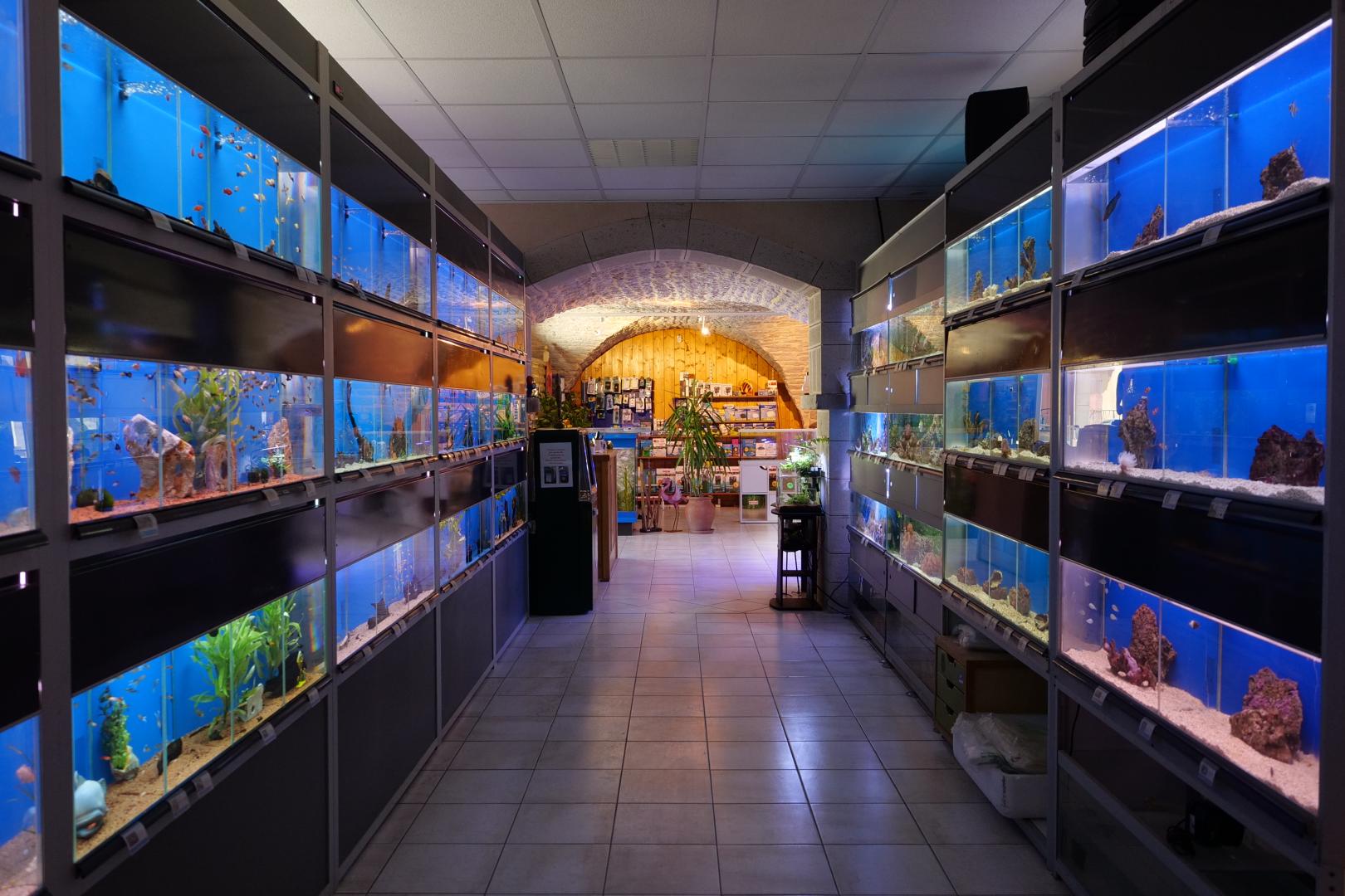 Magasin d'aquariums, Beaufort-Orbagna, Dole, Mâcon – OXYGENE