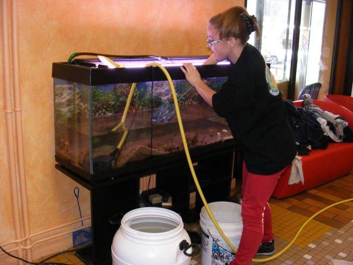 Fabrication aquariums Beaufort-Orbagna