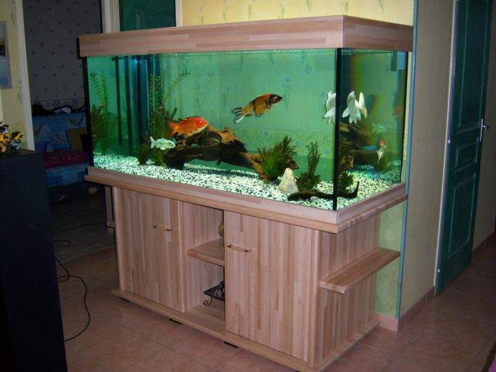 Vente de poissons d'eau de mer Beaufort-Orbagna