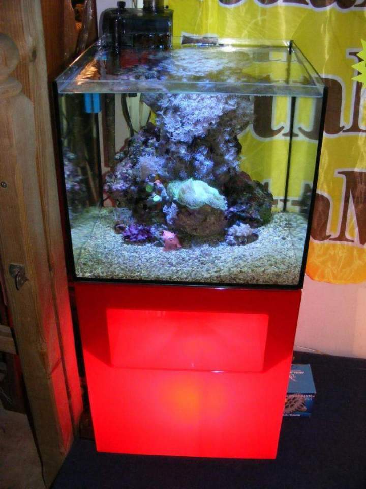  Fabrication et entretien d'aquarium Beaufort-Orbagna