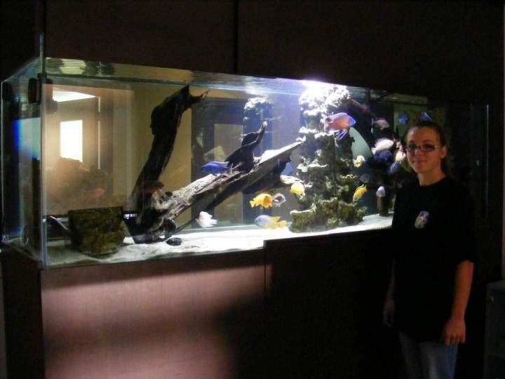 Vente de poissons d'eau de mer Beaufort-Orbagna