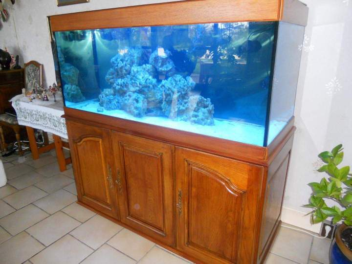 Vente de poissons d'eau de mer Beaufort-Orbagna