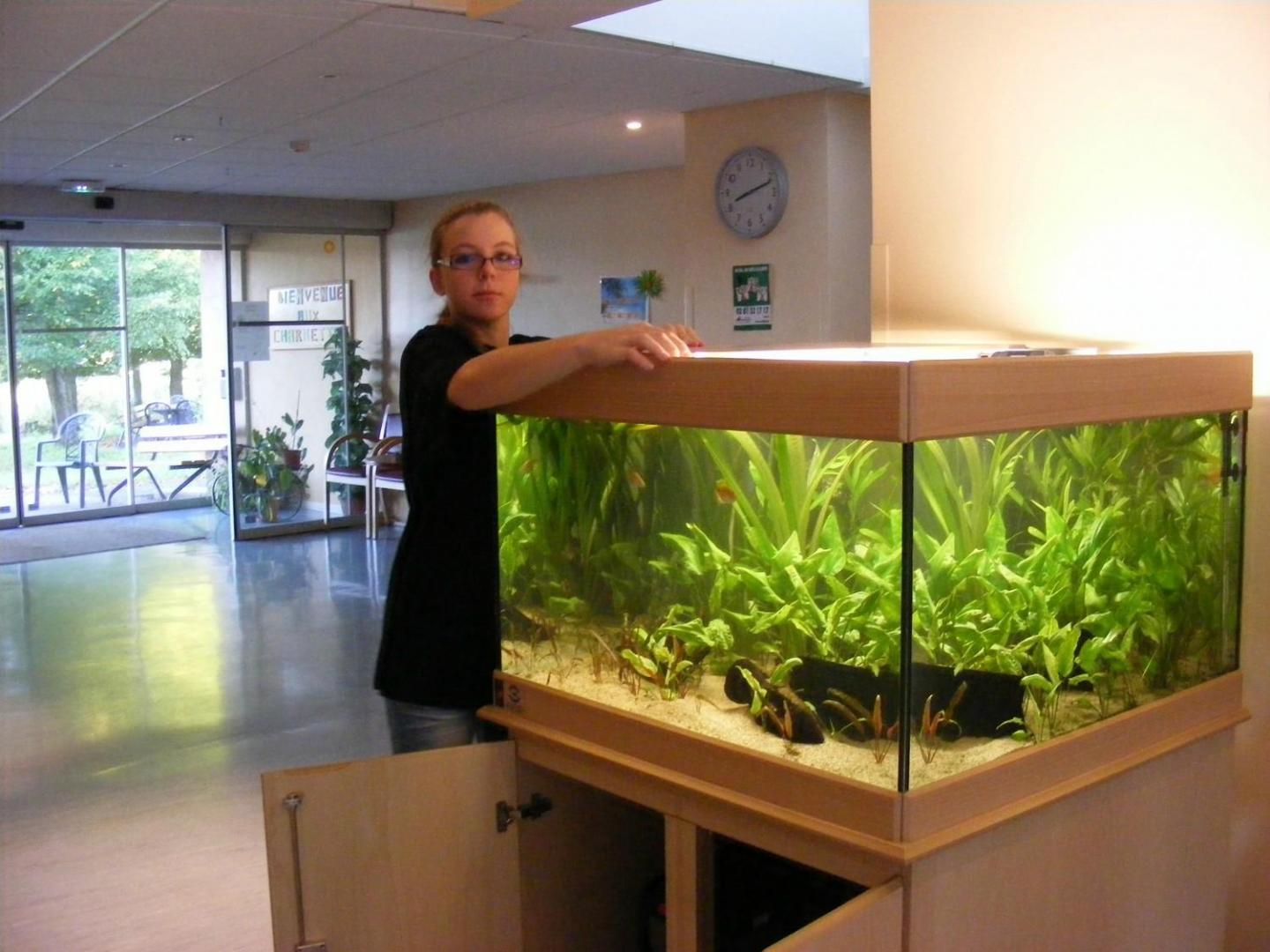 Entretien aquariums à domicile Gizia
