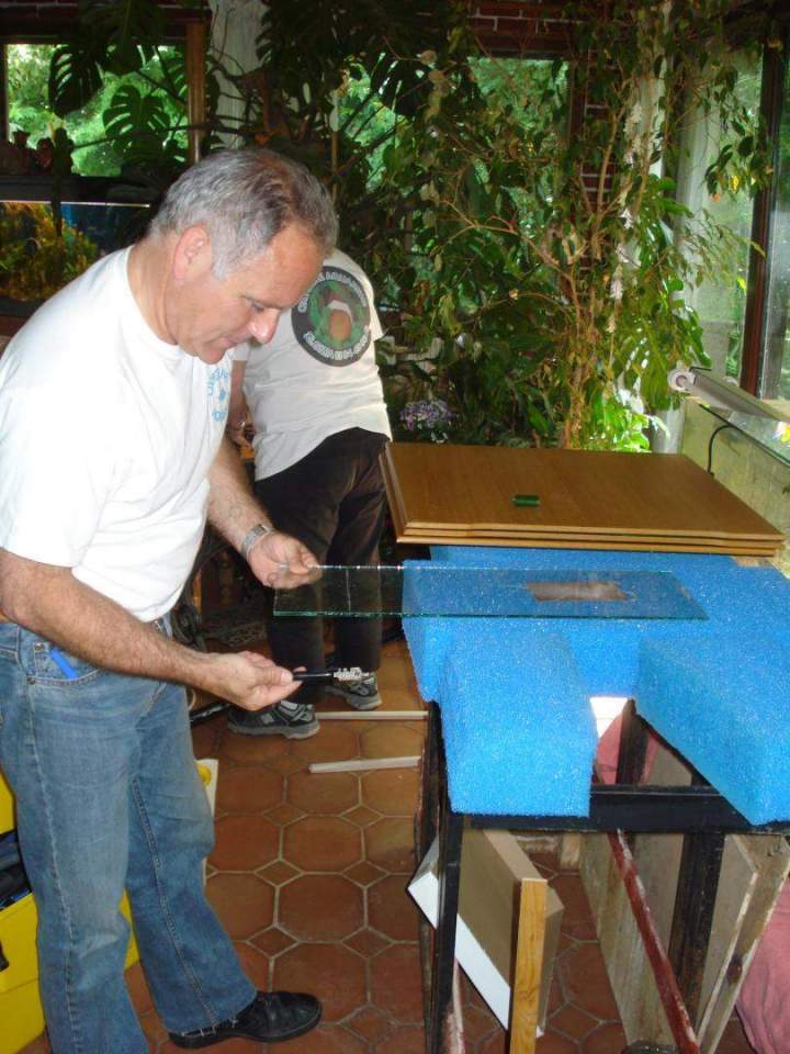 Vente de poissons d'eau de mer Beaufort-Orbagna