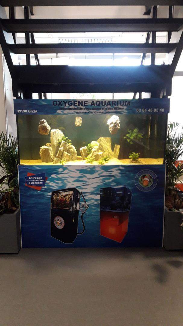  Fabrication et entretien d'aquarium Beaufort-Orbagna