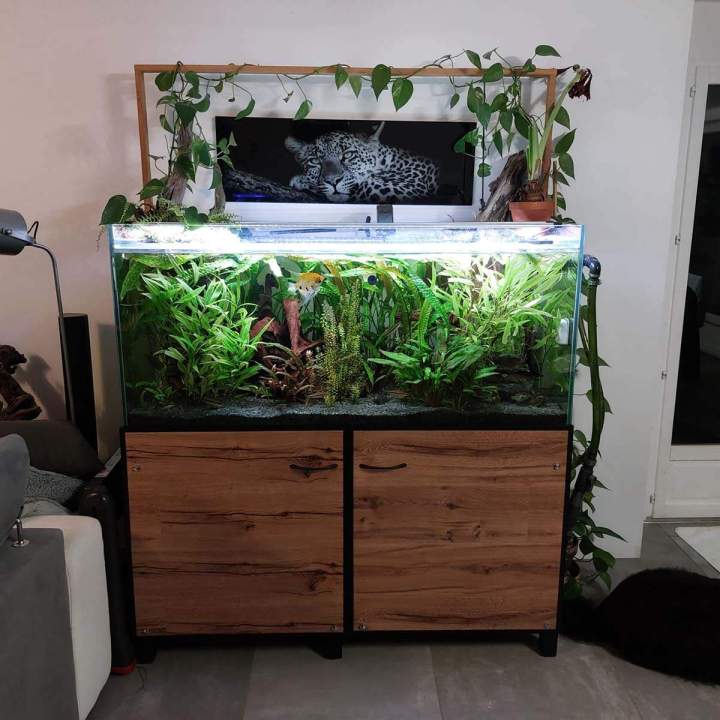 Fabrication aquariums Beaufort-Orbagna