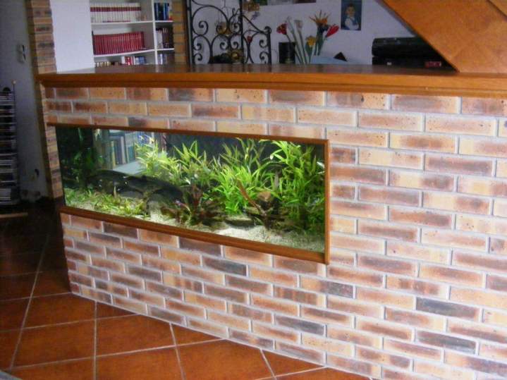 Vente de poissons d'eau douce Beaufort-Orbagna