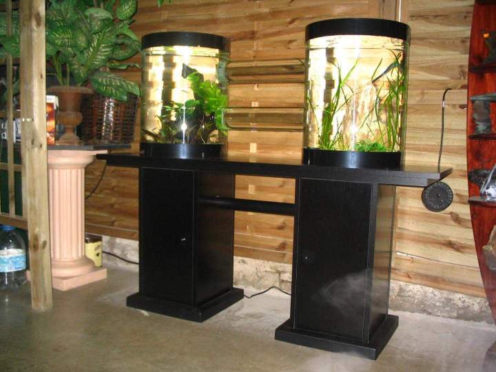 Fabrication aquariums Beaufort-Orbagna