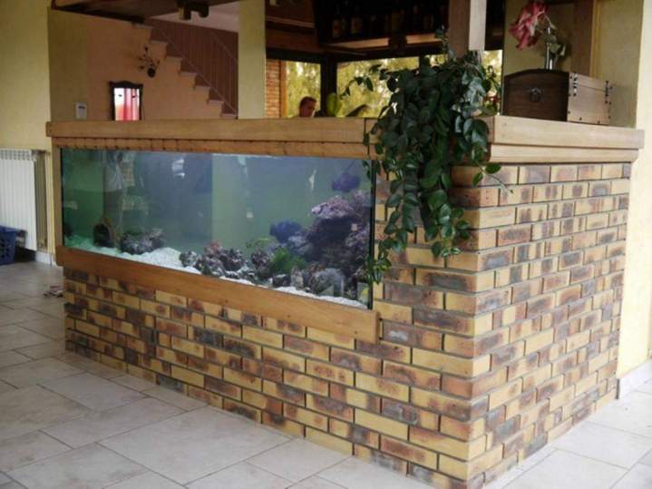  Fabrication et entretien d'aquarium Beaufort-Orbagna