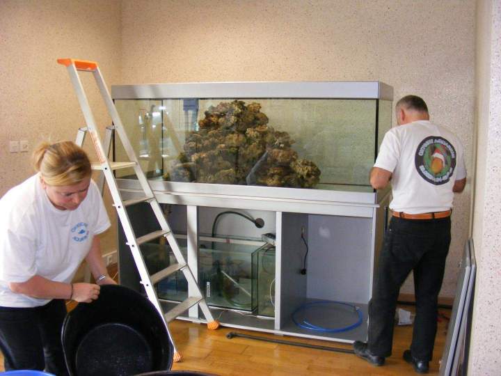 Vente de poissons d'eau douce Beaufort-Orbagna