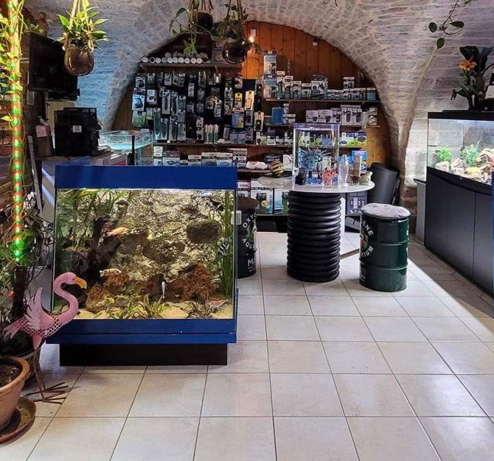 Vente de poissons d'eau de mer Beaufort-Orbagna