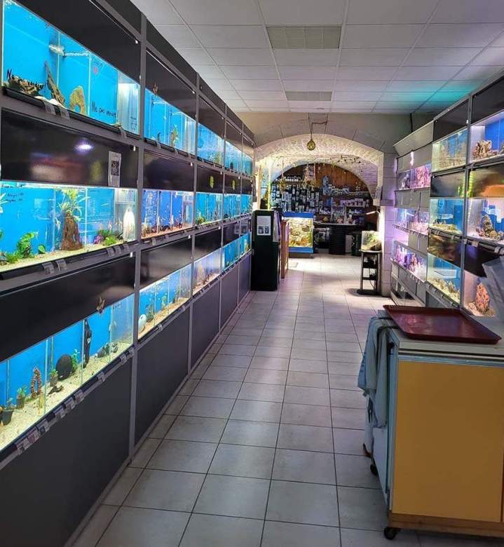 Fabrication aquariums Beaufort-Orbagna